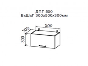 Шкаф верхний ДПГ500 горизонтальный в Нижних Сергах - nizhnie-sergi.магазин96.com | фото