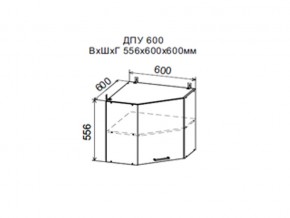 Шкаф верхний ДПУ600 угловой в Нижних Сергах - nizhnie-sergi.магазин96.com | фото